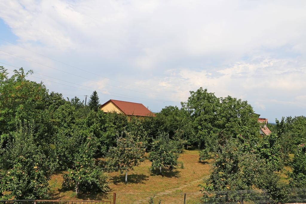 Hanu Lui Gica Satu Mare Exterior photo